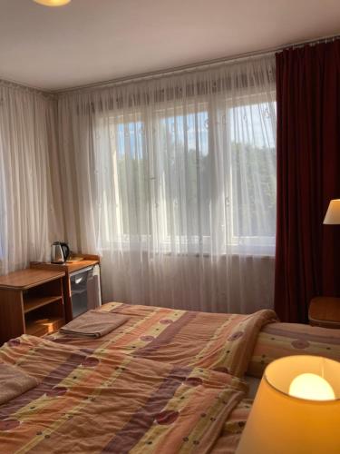 スピホボにあるStanica Wodna Spychowoのベッドルーム(大型ベッド1台、窓付)