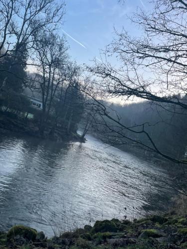 a view of a river with trees in the foreground at La Rouloulotte in Durbuy
