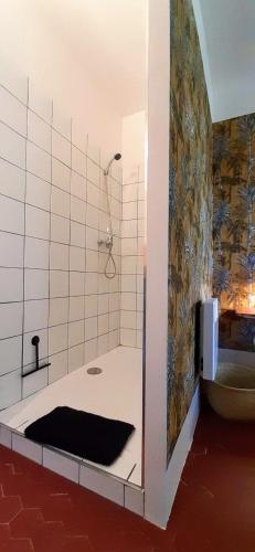 une salle de bain avec douche et baignoire dans l'établissement Domaine Saint Bonnet, à Puimoisson