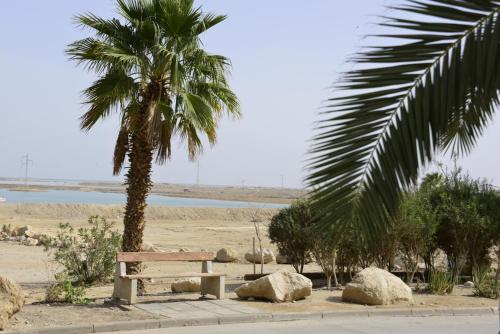 a bench sitting under a palm tree on a beach at Rose Dead Sea Neve Zohar in Neve Zohar