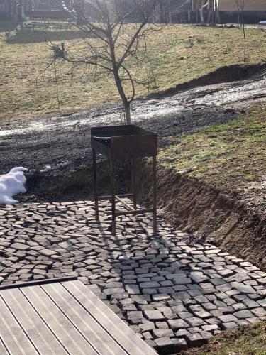 a tree sitting on top of a stone path at Căbănuța La Gălățanu in Vulcan