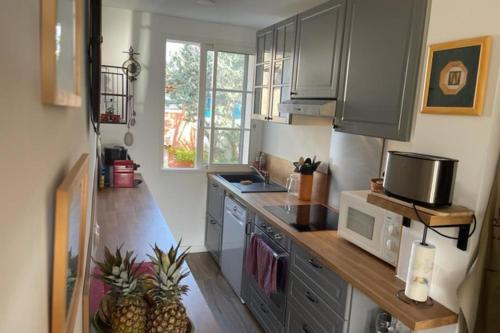 une cuisine avec un comptoir avec un micro-ondes dans l'établissement Charming apartment overlooking the lake city, à Grimaud