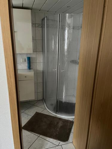 a bathroom with a shower and a tile floor at Bergblick 2 in Masserberg