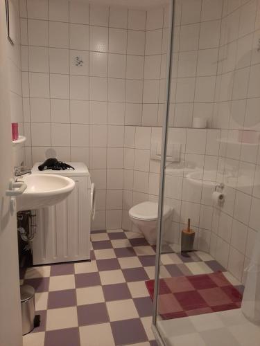 a bathroom with a toilet and a sink and a shower at FeWo Fink in Regen