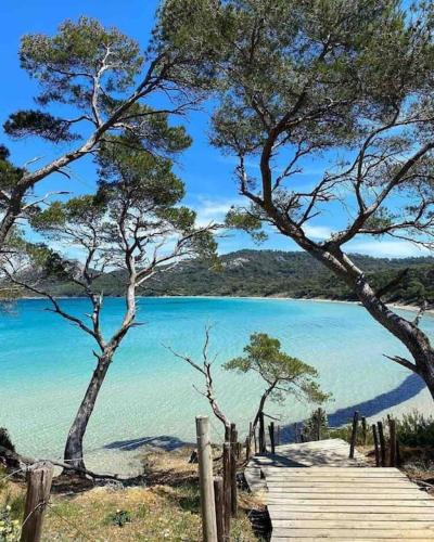 - une vue sur un lac avec des arbres et une promenade dans l'établissement Maison en pierre indépendante 47m² + stationnement, à Sillans-la-Cascade