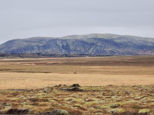 a large field with a mountain in the background at MB Guesthouse in Grímsnes og Grafningshreppur