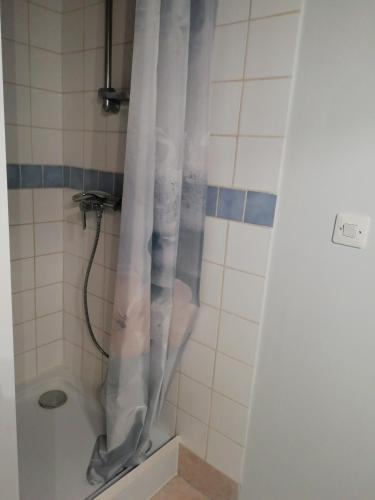 La salle de bains est pourvue d'une douche avec rideau de douche. dans l'établissement le petit st jacques, à Cognac