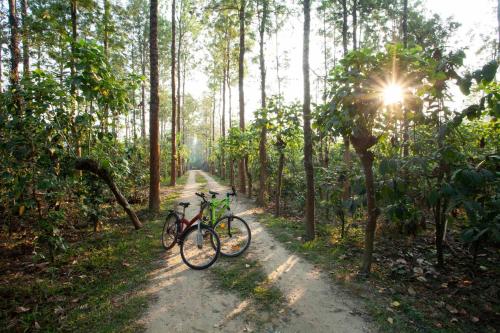 two bikes parked on a dirt road in a forest at StayVista at Cedar - Strelitzia 2BHK with Breakfast and Jacuzzi in Chikmagalur