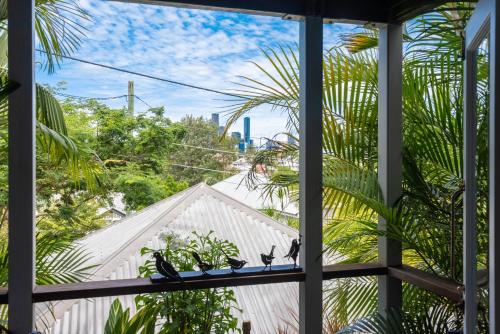 a window view of a white house with plants at Contemporary Studio in the heart of Paddington in Brisbane