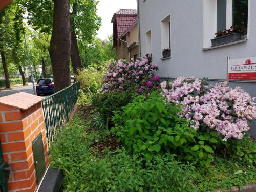 un jardín de flores frente a un edificio en Ferienwohnung Heil - Königs Wusterhausen en Königs Wusterhausen