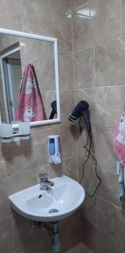 a bathroom with a sink and a mirror at Petite Chambre in Velyatyn