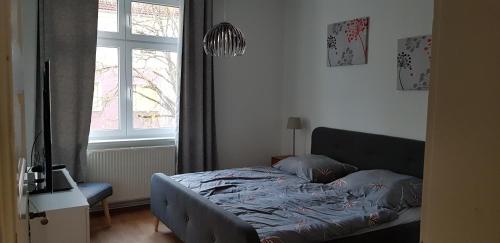 ein Bett in einem Schlafzimmer mit einem Fenster in der Unterkunft Ilmenauer Ferienwohnung in Ilmenau