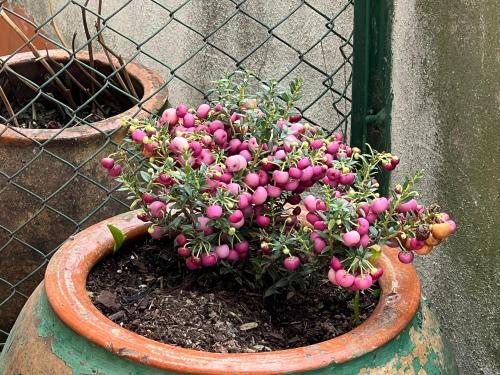 CLOSE TO GRAN VIA Centro familiar con Wifi by Apartamentos Logrono