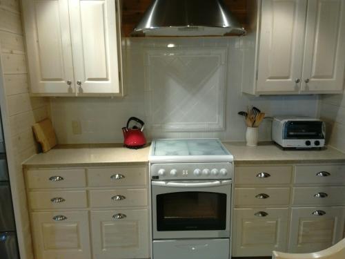 a kitchen with a stove and a microwave at Hana Mana in Yakushima