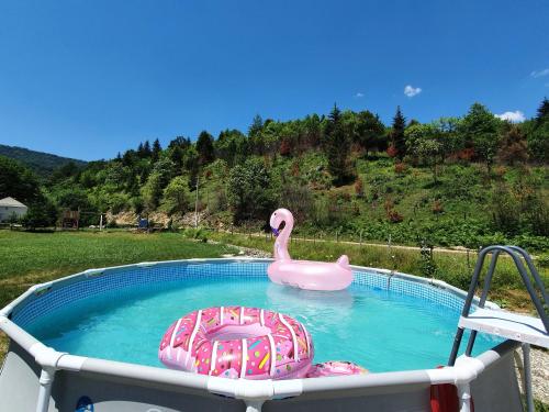 Het zwembad bij of vlak bij Mysterylodge Bjelašnica Treskavica