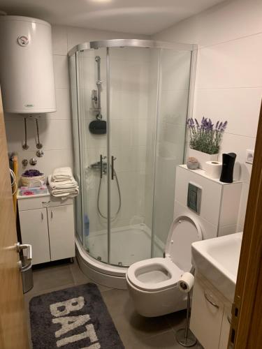 Koupelna v ubytování Apartman & SPA Andria