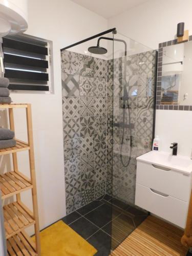 a bathroom with a shower and a sink at Vali's Paradise in Ptuj