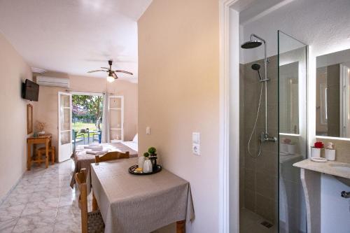 卡西奧皮的住宿－達馬斯基斯一室公寓，一间带桌子和淋浴的用餐室