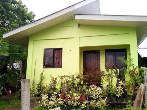 una casa verde con plantas delante de ella en Little bridges mini bar and rooms, en Mambajao