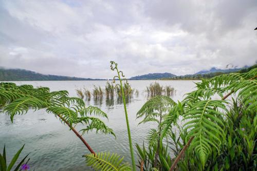 a large body of water with plants in the foreground at Diamond Glamping by BIO Management in Bedugul