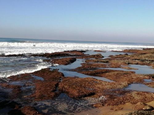 a beach with rocks and the ocean with waves at Syringa Sea View in Pennington