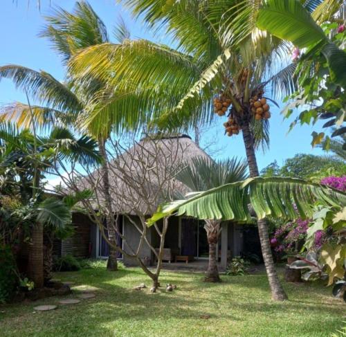 una casa con palmeras frente a un patio en Brahmanhut - Eco Hut experience in harmony with nature, wellbeing and spirit, en Bain Boeuf