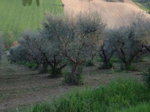 La casa nella Vigna – Photos 5