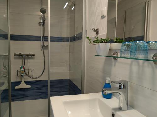 a bathroom with a shower and a sink and a shower at Gästehaus Arkona in Tönning