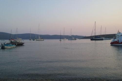 a group of boats in a large body of water at "Patra's" Apartments Patra in Poseidónion