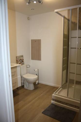 une petite salle de bain avec toilettes et douche dans l'établissement appartement climatisé + terrasse, à Marseille
