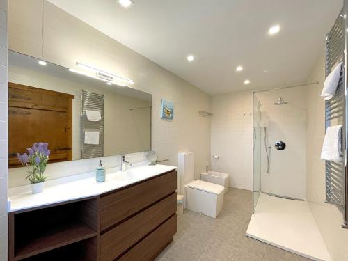 a bathroom with a sink and a shower and a toilet at CASA RURAL ERVITENA in Oteiza