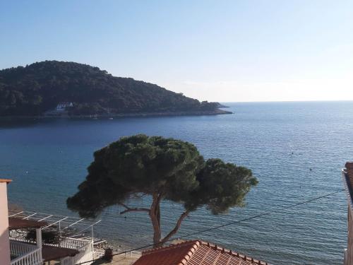Φυσικό τοπίο κοντά σε αυτός ο ξενώνας