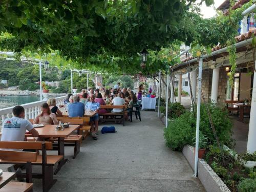 Επισκέπτες που μένουν στο Apartments Franka Saplunara
