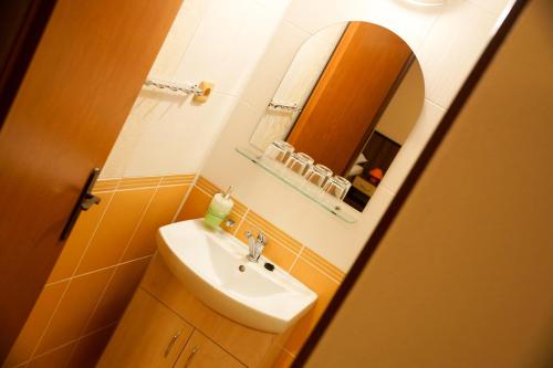 Turistická ubytovňa BUCK** في Tornaľa: حمام مع حوض ومرآة