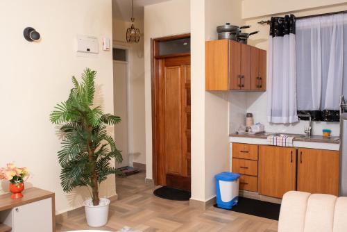 a kitchen with a plant in the middle of a room at Luxury 1Br Apartment with Secure Parking & Lift Nakuru in Nakuru