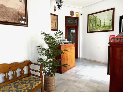 - un salon avec un banc et une plante dans l'établissement Hostal Almanzor, à Cordoue