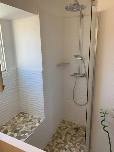 une douche avec une porte vitrée dans une salle de bain dans l'établissement C’est l’app’Art! Pau centre, à Pau