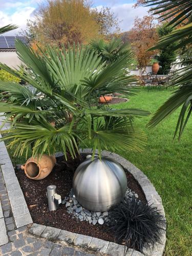 a large silver planter with a palm tree in a garden at Ferienwohnung am Pferdemarkt in Konz