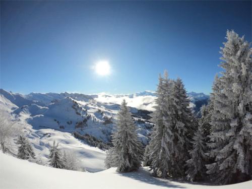 a group of trees covered in snow on a mountain at Chalet Aventure B&B Les Gets in Les Gets