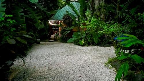 Pochote House – Photos 5