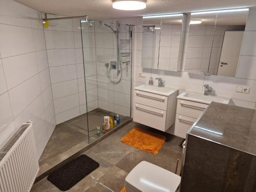 uma casa de banho com um chuveiro, um WC e um lavatório. em Monteurzimmer-mit GemeinschaftsBad und Küche BEI RASTATT em Muggensturm