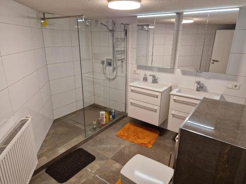 Bilik mandi di Monteurzimmer- Kellerwohnung mit GemeinschaftsBad und Küche BEI RASTATT