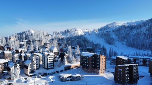 an aerial view of a city covered in snow at Pinewood apartment Jahorina in Jahorina