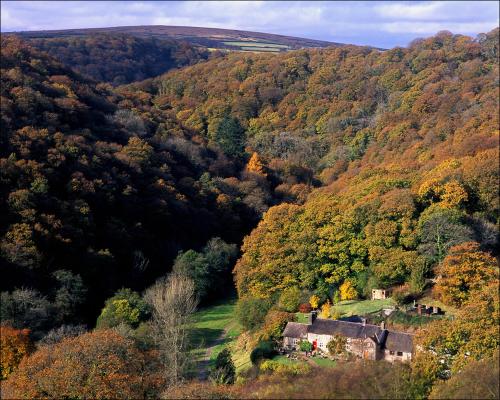a house in the middle of a hill with trees at Tarr Farm Inn in  Liscombe
