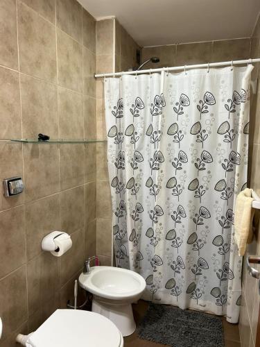 a bathroom with a toilet and a shower curtain at Temporarios Sanatorios CENTRO in Rosario