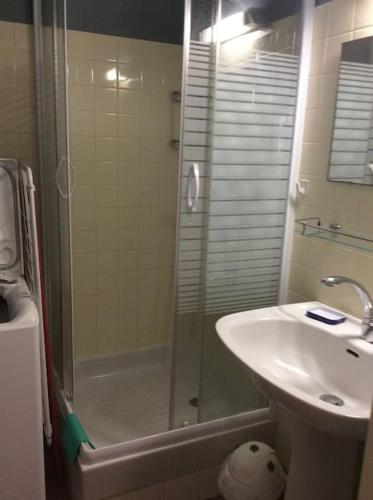 une salle de bain avec une douche et un lavabo et une douche dans l'établissement Studio 2 lits barbotan les thermes, à Cazaubon