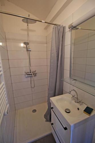 une salle de bain avec douche et lavabo dans l'établissement Abri du martin pecheur, à Blanzac