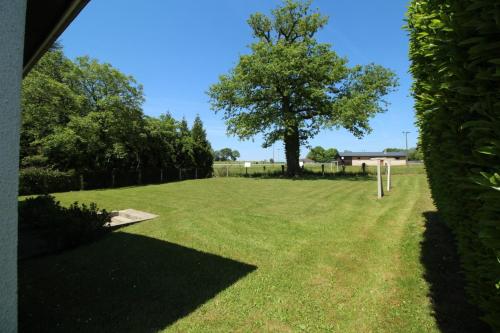a large grass field with a tree in the distance at Plaisance in Bujaleuf