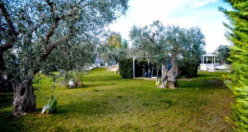 a park with two trees and a gazebo at Hotel Giardino Giamperduto in Bernalda