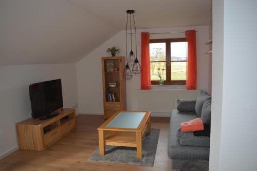 a living room with a couch and a tv at Ferienwohnung Rißblick in Winterstettenstadt